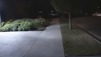 Wild Group Sex Party With Hardcore Action